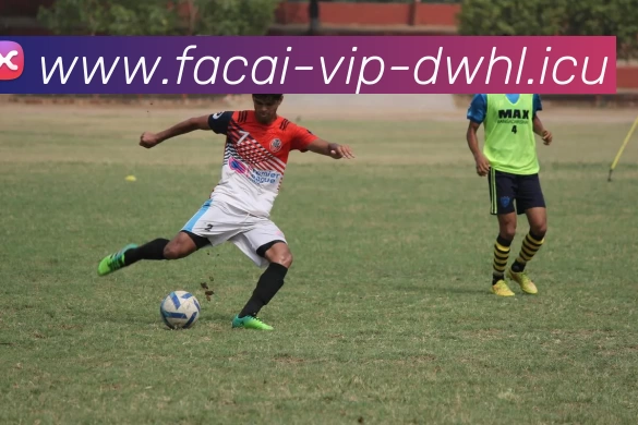 爱游戏体育注册服务体系